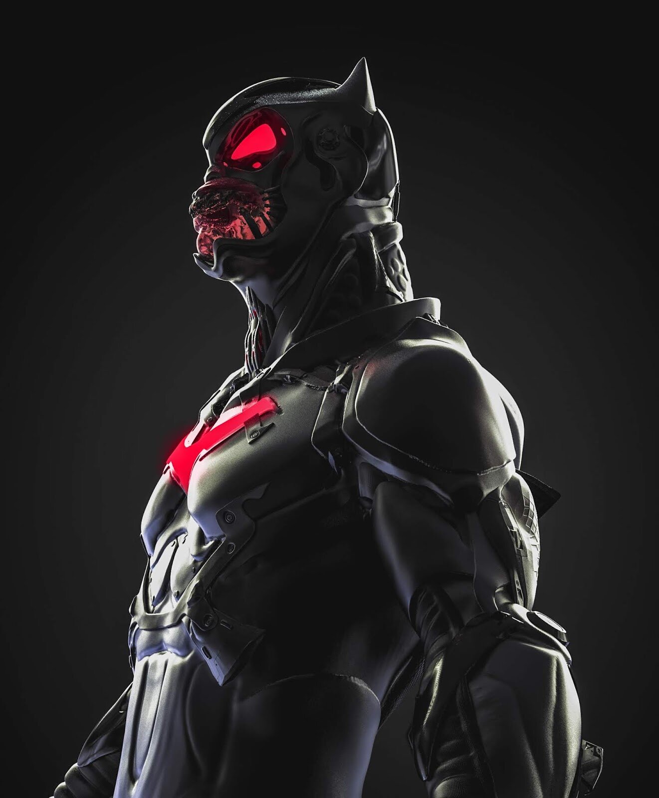 009 image asset